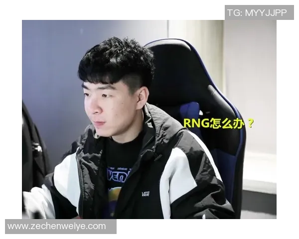 深入探讨RNG战队在比赛中的团队协作表现与数据分析结果