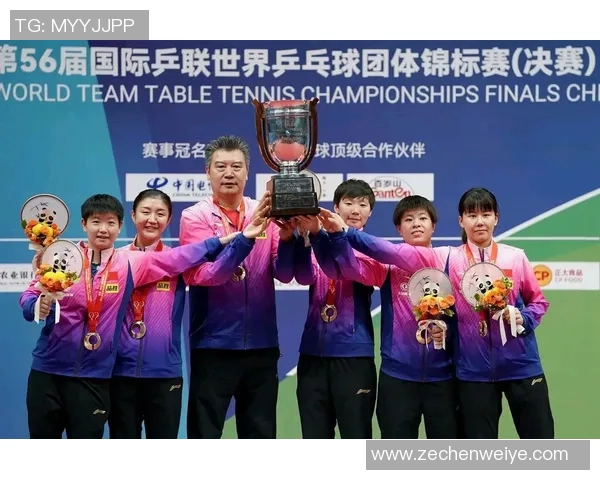 西安乒乓球队精英赛表现分析团队协作的重要性与亮点